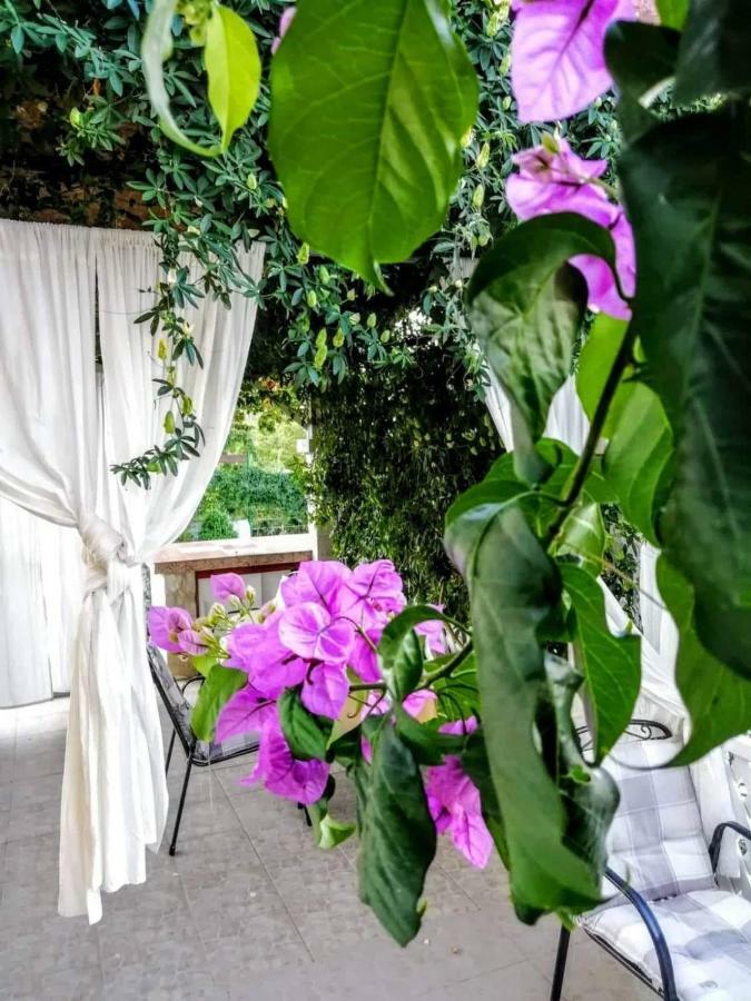 Apartments Dumic Криквеница Екстериор снимка